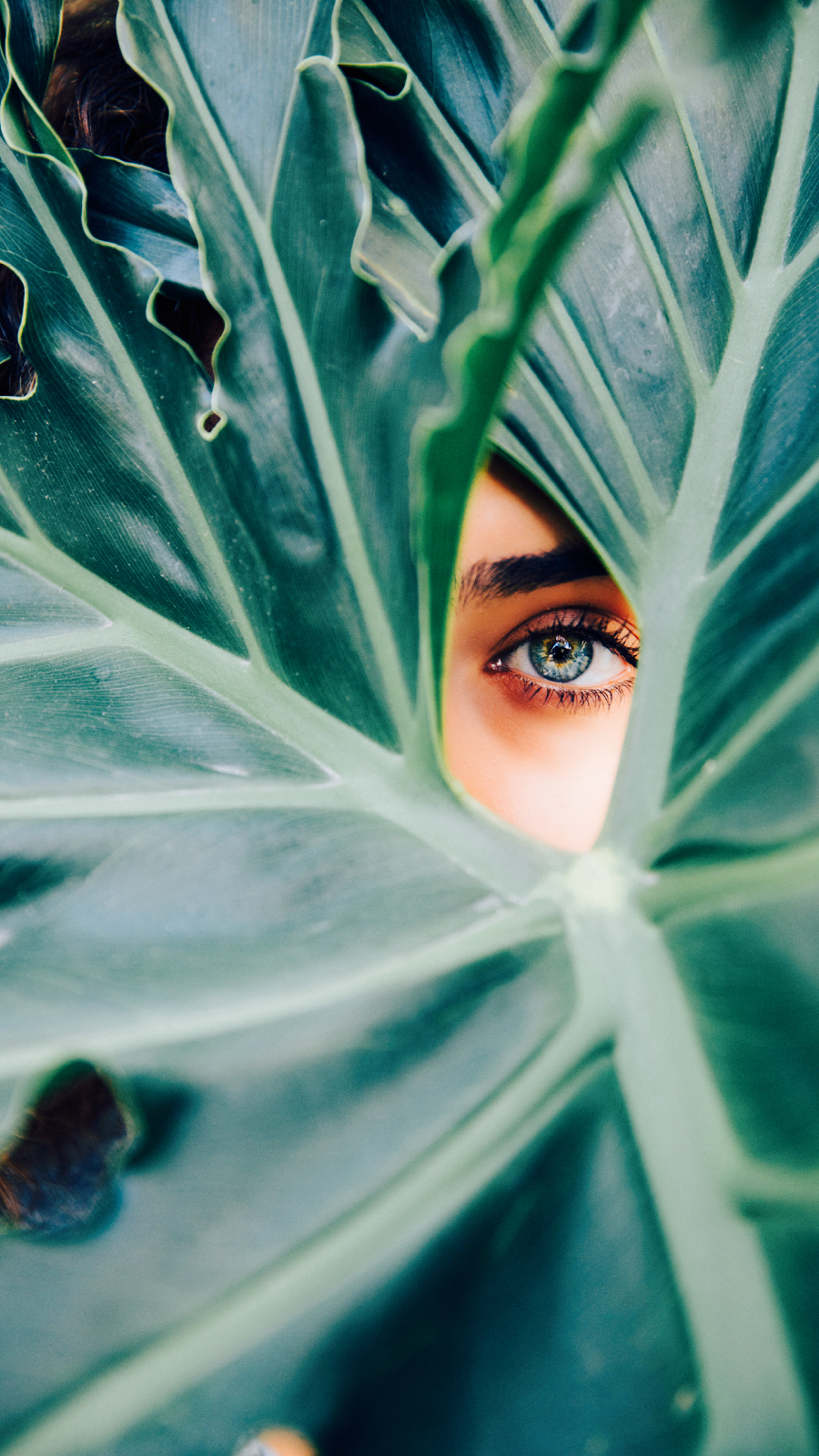 Transforming Sensitivity into Strength with Empathic&nbsp;Alchemy